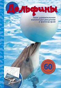 Купить Дельфины — Фото №1