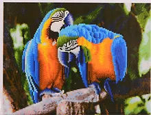 Купить Алмазная мозаика ТМ Рыжий кот (класс.) 40х50см (30цв.) Попугаи в джунглях AC4073 — Фото №1