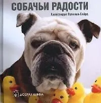 Купить Собачьи радости — Фото №1