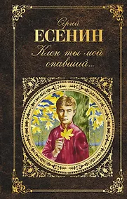 Купить Клен ты мой опавший... — Фото №1