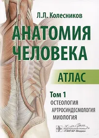 Купить Анатомия человека. Атлас. В 3 томах. Том 1. Остеология, артросиндесмология, миология — Фото №1