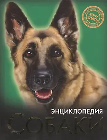 Купить Собаки — Фото №1