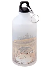 Купить Бутылка с карабином СПб Кот и Арка главного штаба (металл) (500мл) — Фото №1