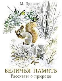 Купить Беличья память — Фото №1