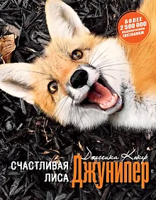 Купить Счастливая лиса Джунипер — Фото №1
