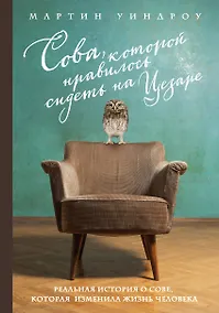 Купить Сова, которой нравилось сидеть на Цезаре — Фото №1