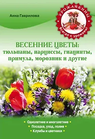 Купить Весенние цветы: тюльпаны, нарциссы, гиацинты, примула, морозник и другие — Фото №1