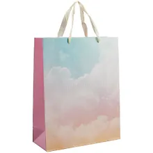 Купить Пакет А4 32*26*10 "Облака.Basic" жен., бум.мат.ламинат — Фото №1