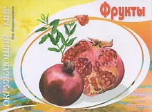 Купить Фрукты — Фото №1