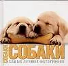 Купить Собаки. Самые лучшие фотографии — Фото №1