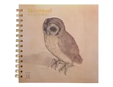 Купить Скетчбук 195*195 40л "Дюрер. Сыч" 160г/м2, тв.обложка, спираль — Фото №1