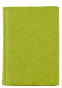 Купить Ежедневник, ТМАдъютант А5 (15*21см) 352стр. н/датир. Светло-зеленый — Фото №1