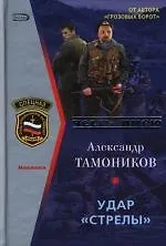 Купить Удар "Стрелы" — Фото №1
