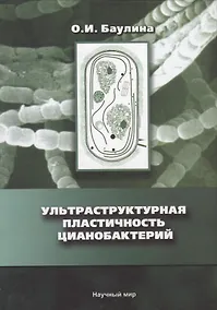 Купить Ультраструктурная пластичность цианобактерий — Фото №1