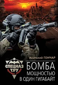 Купить Бомба мощностью в один гигабайт — Фото №1