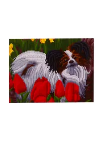 Купить Алмазная мозаика ТМ Рыжий Кот 22х32см с подрамником с полным заполнением (класс.)  (22 цв.)СОБАЧКА В ПОЛЕ МАКОВ (Арт. AC22088) — Фото №1