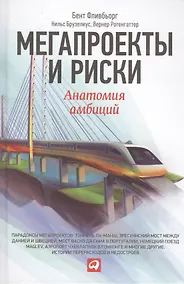 Купить Мегапроекты и риски: Анатомия амбиций — Фото №1