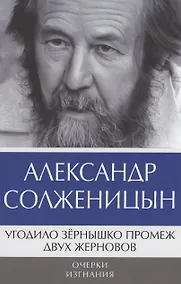 Купить Угодило зернышко промеж двух жерновов: Очерки изгнания — Фото №1