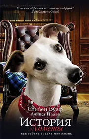 Купить История Кометы. Как собака спасла мне жизнь : роман — Фото №1