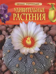 Купить Удивительные растения — Фото №1