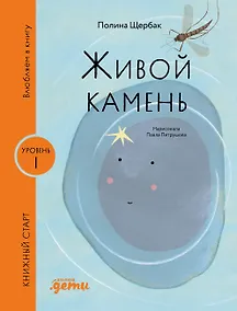 Купить Живой камень — Фото №1