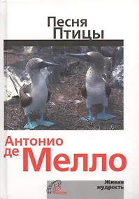 Купить Песня птицы. На русском и английском языке — Фото №1