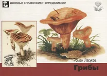 Купить Грибы. Карманный определитель грибов средней полосы Европейской части России — Фото №1