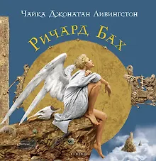 Купить Чайка Джонатан Ливингстон — Фото №1