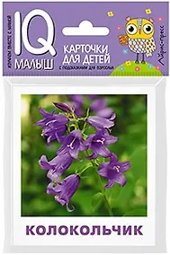 Купить Умный малыш. Что растёт на клумбе? — Фото №1