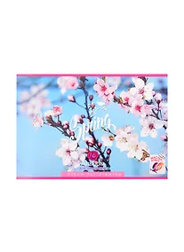 Купить Альбом для рисования «Spring bloom» BG А4, 16 листов, скрепка, в ассортименте — Фото №1
