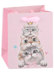 Купить Пакет А6 14*11,5*6 "Kittens on party" жен., бум.мат.ламинат — Фото №1