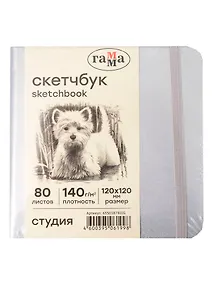 Купить Скетчбук 120*120 80л "Гамма. Студия" серебро, 140г/м2, слоновая кость, тв.обложка, резинка — Фото №1