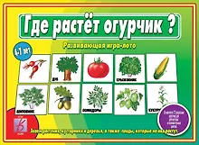 Купить Где растёт огурчик? Развивающая игра-лото — Фото №1