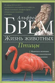 Купить Птицы Л-Я — Фото №1