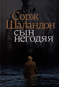 Купить Сын негодяя — Фото №1