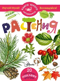 Купить Растения — Фото №1