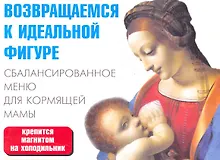 Купить Сбалансированное меню для кормящей мамы / (мягк) (раскладушка) (25754) (Сиб. унив. изд-во) — Фото №1