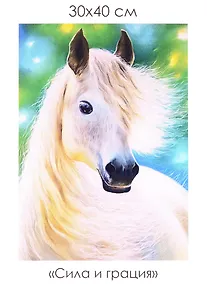Купить Набор для творчества. Алмазные узоры "Сила и грация", 30 х 40 см — Фото №1