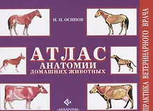 Купить Атлас анатомии домашних животных — Фото №1