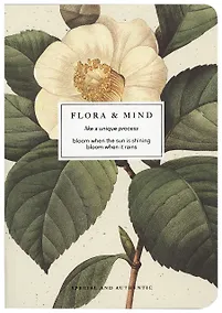 Купить Тетрадь в клетку Be Smart, "Flora. Камелия", 40 листов — Фото №1