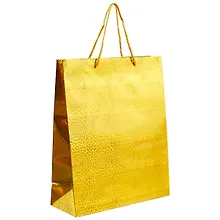 Купить Подарочный пакет «Голография», А4 — Фото №1