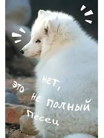 Купить Книга для записей А5 80 листов в клетку, "Песец" — Фото №1