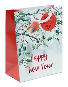 Купить Пакет А5 23*18*10 "Снегирь. Happy New Year" НГ, бум.мат.ламинат — Фото №1