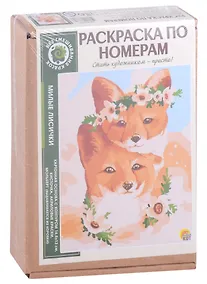 Купить Раскраска по номерам. Милые лисички — Фото №1