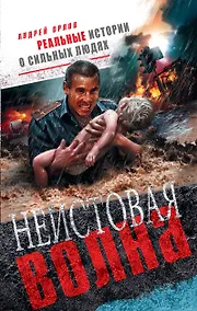 Купить Неистовая волна — Фото №1