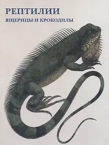 Купить Набор открыток Рептилии. Ящерицы и крокодилы — Фото №1