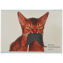 Купить Альбом для рисования Listoff, "Котик с усами", А4, 40 листов, на скрепке — Фото №1