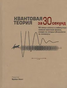 Купить Квантовая теория (за 30 секунд) — Фото №1