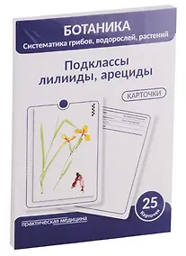 Купить Ботаника. Систематика грибов, водорослей, растений. Подклассы лилииды, арециды. 25 карточек — Фото №1