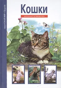 Купить Кошки — Фото №1